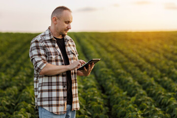 Agronomist farmer uses digital tablet to analyse and check quality control the growth soybeans plants in the field. Smart farming technology and organic agriculture concept. Modern soya agribusiness