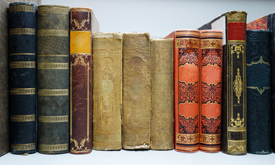 Antique and very valuable books lined up on a shelf
