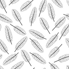 Seamless black-and-white pattern featuring hand-drawn leaves sorrel with intricate vein details. The minimalistic design and monochrome palette creates a stylish and elegant look, making it perfect