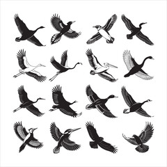 Obraz premium set of silhouettes of birds. Graceful Bird Silhouettes: A Unique Bundle.