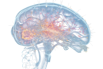 Exploring brain activity through a vibrant, detailed representation of neural connections and synapses in a human brain