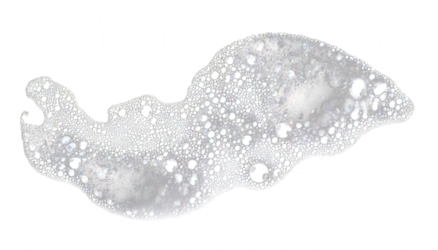 Soap foam on transparent background