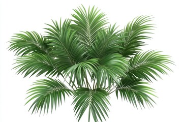 Obraz premium betel leaf 