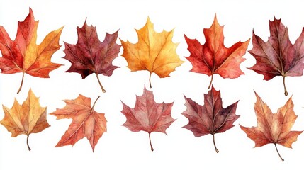 Fototapeta premium Autumn Watercolor Maple Leaves - Vibrant Fall Foliage