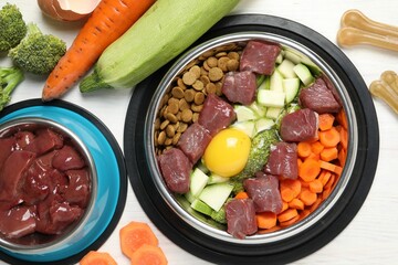 Dry pet food and natural products on white table, top view