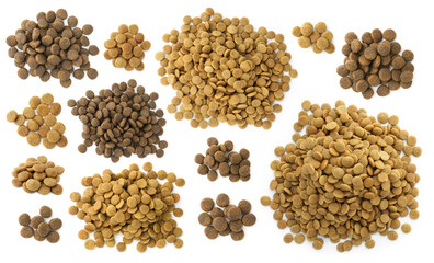 Dry pet food for dogs isolated on white, set