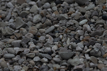 A closeup view of gravel showcasing a variety of stone sizes and shades that can be used for construction, landscaping, or other purposes