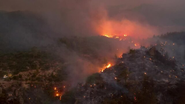 An aerial view of a forest fire spreading across a hillside, with thick smoke billowing into the sky. The the intense flames and the environmental impact on the surrounding landscape.