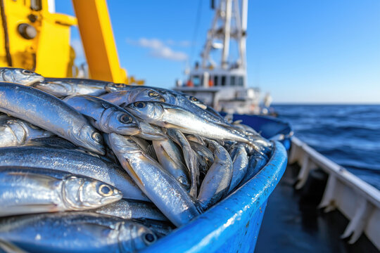 caught fish in a bucket on the deck of a fishing trawler