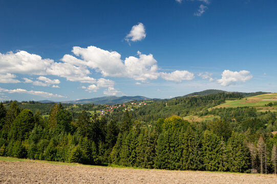 Jaworzynka, Beskidy - widok na leni krajobraz g&oacute;rski