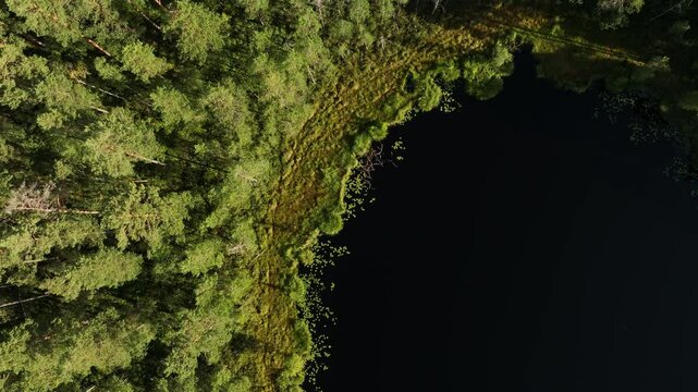 Top down aerial footage of the Nackern Lake surrounded by dense vegetation in Bestorp, Sweden