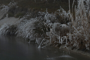 Amidst a dark and still water body, delicate frozen plants can be seen, beautifully capturing the...
