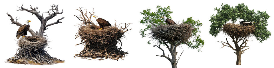 Eagle nest – A large nest built by eagles, often found in tall trees or on cliffs, used for raising their young. Isolated on Clear White Background Highly Detailed 
