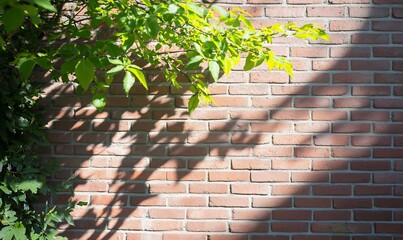 Sunlight shadows leaves brick wall nature background texture