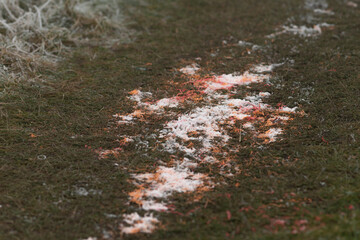 The ground exhibits a snowlike substance blended with soil, highlighted by noticeable red stains,...