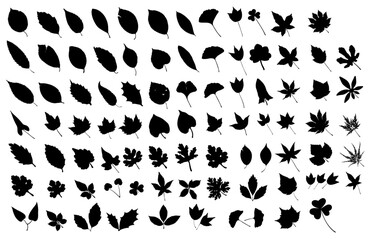 Tree Leaves Silhouette Vector Pack graphic drawing illustration for stickers, streetwear, t-shirts, logos, print-on-demand, print, or branding