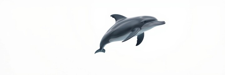 Obraz premium Dolphin Gracefully Leaping Against White Background with Copy Space