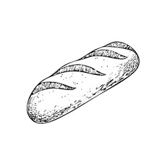 Loaf of bread vector illustration in a hand-drawn style. Rustic cartoon design of fresh bread with a crust, isolated on a white background