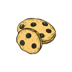 A hand-drawn cartoon-style illustration of a round, sweet cookie. Golden-brown with a soft texture, decorated with chocolate chips, isolated on a white background.