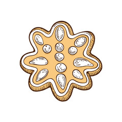 A hand-drawn cartoon-style illustration of a round, sweet cookie. Golden-brown with a soft texture, decorated with chocolate chips, isolated on a white background.