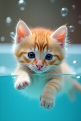 Underwater Adventure Playful Tabby Cat Swimming with Finesse