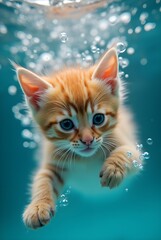 Fototapeta premium Underwater Adventure Playful Tabby Cat Swimming with Finesse