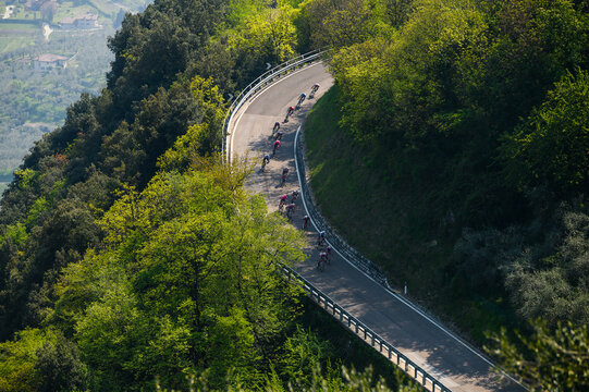Cycling Peloton Gliding Through Verdant Italian Forests. Professional Race in Italy