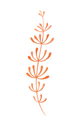 An orange thin twig. Watercolor illustration, postcard.