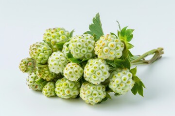 Fototapeta premium Fresh Green Strawberry Cluster Isolated Against a White Background