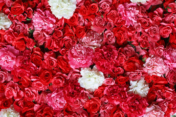 A close-up background material photo of a rose flower arrangement decorating a wall