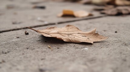 Close-up of a single, dried brown leaf on a textured, gray concrete surface.
