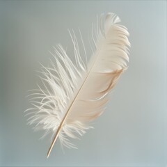 Obraz premium Single, delicate, off-white feather against a soft, gray background.