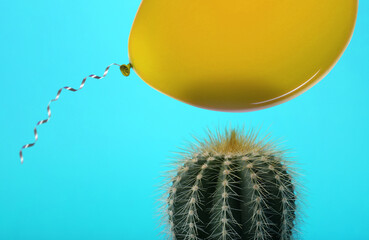 Yellow balloon and prickly cactus on light blue background, closeup