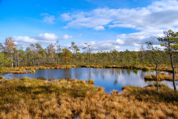 Dumme mosse natural park in Sweden