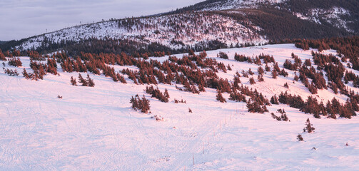 Eastern Sudetes, view from the observation tower on the snow-capped Snieznik mountain peak, view...