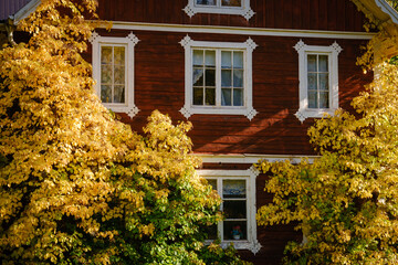 Red old Swedish house in autumn