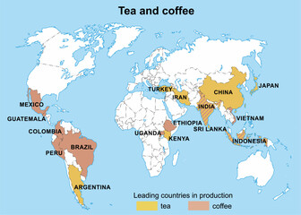 Naklejka premium Leading tea and coffee producing countries on geographical contour map of world. Agriculture, crop production. Vector educational drawing. Continents and countries with inscriptions in English.