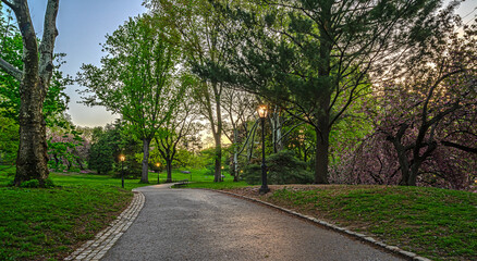 Central Park summer