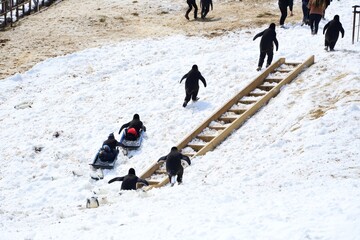 A group of adelie penguins tobogganing down an icy slope, gleefully sliding into the sea