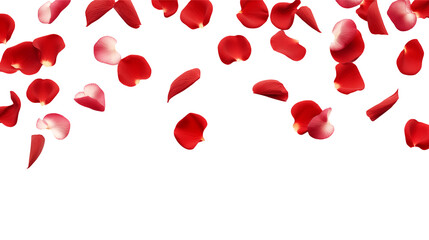Falling Rose Petals isolated on transparent background	