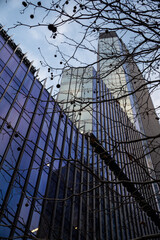 Fototapeta premium High rise buildings. Blue sky. Big city. Business. Business center. City center. Autumn tree