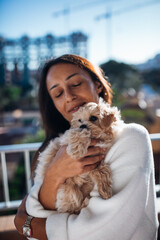 Happy owner hold and play with cute Maltipoo puppy in the room