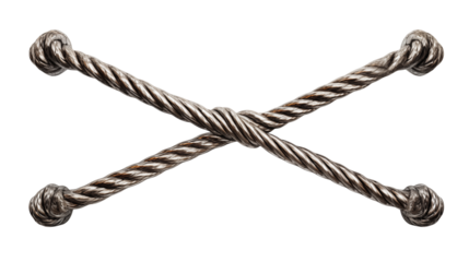 Decorative Twisted Rope Knot Design Element