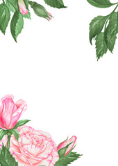 Elegant watercolor floral frame with pink roses and green leaves. Template with space for text, ideal for wedding invitations, Valentine s Day cards, spring holidays clipart, romantic designs.