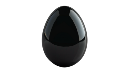 A black egg with a glossy surface depicted on a white background