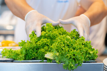 Male chef's hands with latex disposable gloves preparing a salad with fresh arugula and lettuce on steel kitchen counter in a fish restaurant kitchen