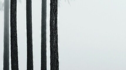   A monochrome image captures a tree line against a hazy backdrop, with a park bench situated prominently in the foreground