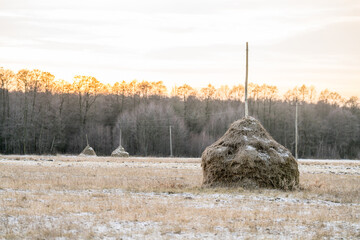 Old style haystack, winter, sunset, Poland © Andrzej