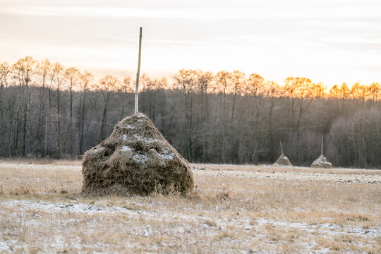 Old style haystack, winter, sunset, Poland