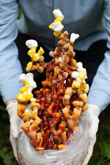 Reishi mushroom - fruiting body of medicinal fungi, used in traditional Chinese medicine.